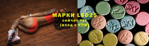 ГАЛЛЮЦИНОГЕННЫЕ ГРИБЫ Медвежьегорск